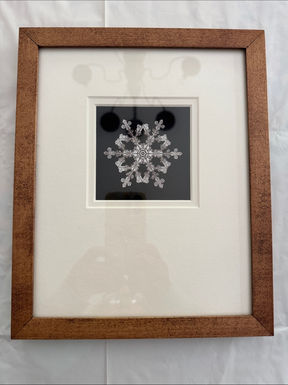 Framed Snowflake Bentley Print